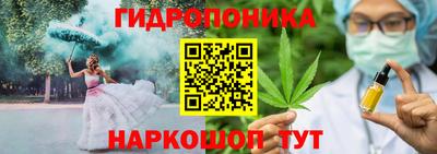 индика Краснодар