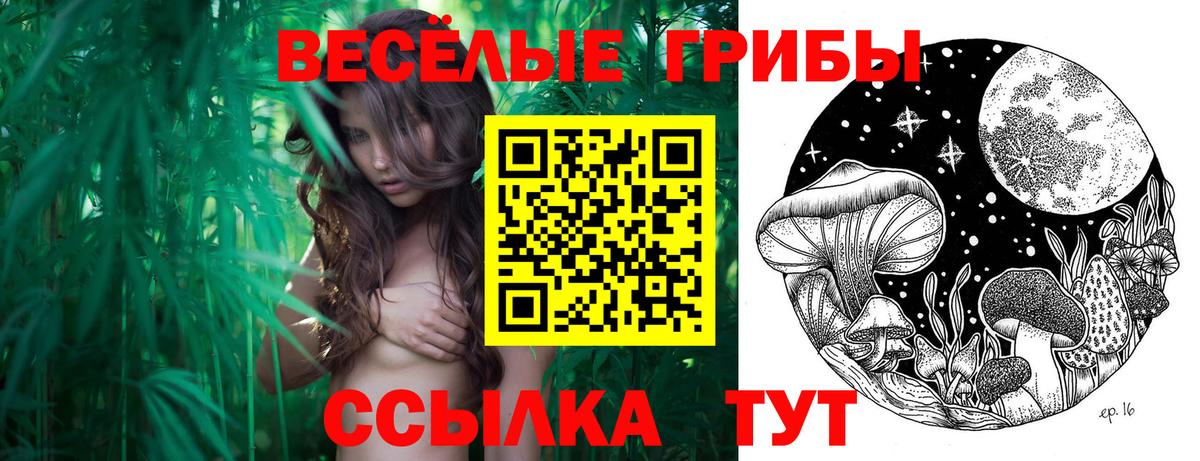 Галлюциногенные грибы Cubensis  Псилоцибиновые грибы Psilocybe  Вход с VPN  Крымск 