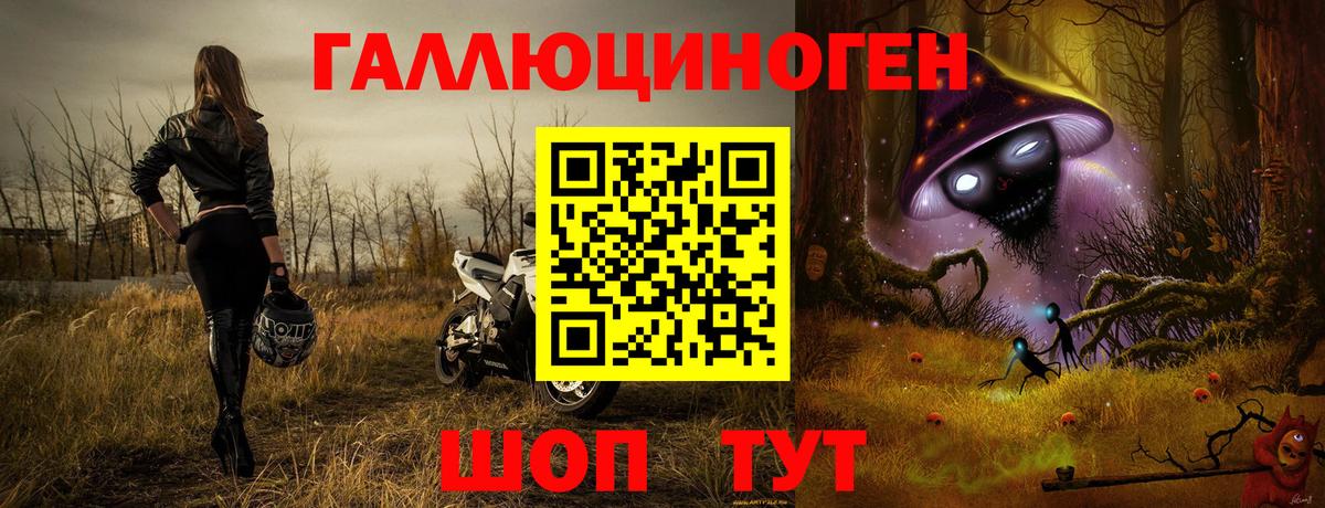 Галлюциногенные грибы Крымск